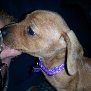 Meet your Posher, Denyse