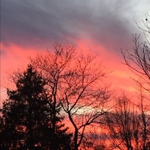 Meet your Posher, Pamela