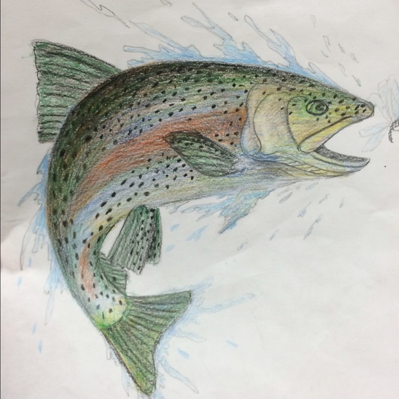 Meet your Posher, Dylan - Picture 1 of 1