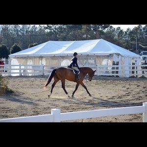 Meet your Posher, Olivia