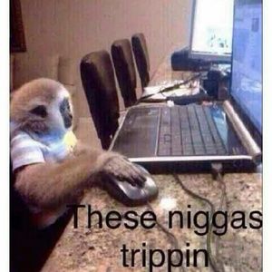 Meet your Posher, Gavin