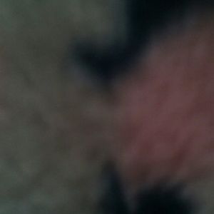 Meet your Posher, Tayler