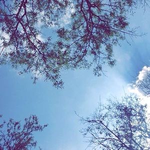 Meet your Posher, Ali