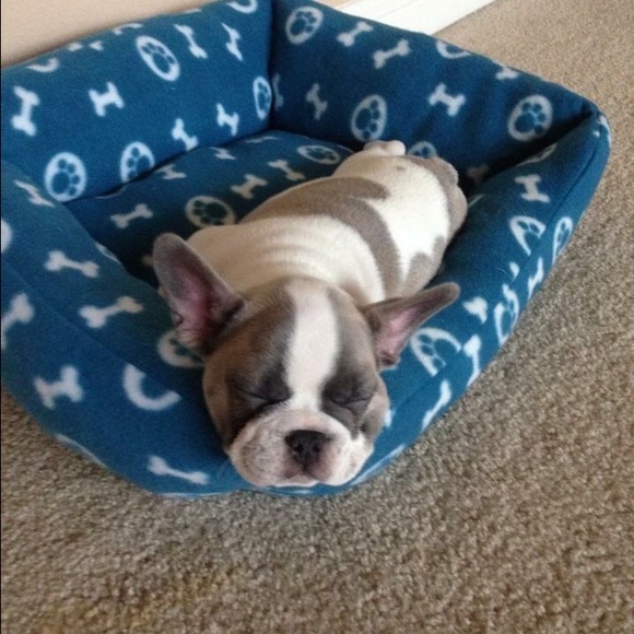 Meet your Posher, Ruth