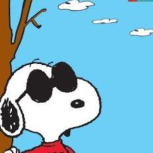 Meet your Posher, Suzie