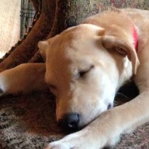 Meet your Posher, Melody