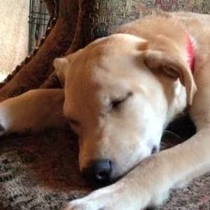 Meet your Posher, Melody