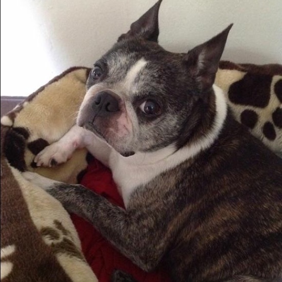 Meet your Posher, Kathryn - Picture 1 of 1