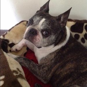 Meet your Posher, Kathryn