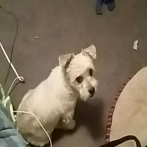 Meet your Posher, Mika