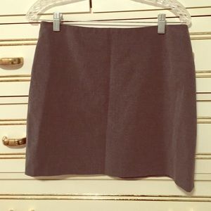 Gray Skirt Express