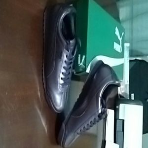 Purple metallic pumas