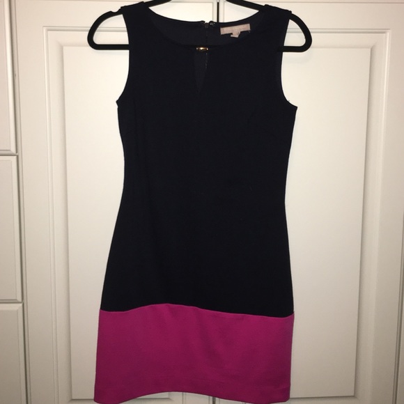 Banana Republic Navy & Pink Dress