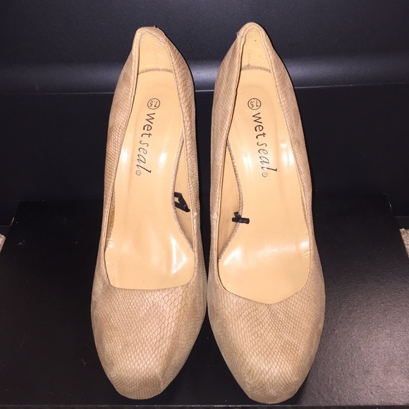 Wet seal pumps