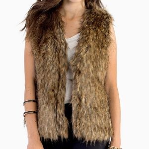 Tobi Faux Fur Vest (Ellison Ever As Be Fur Vest)