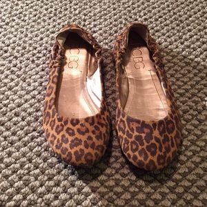Cheetah Flats