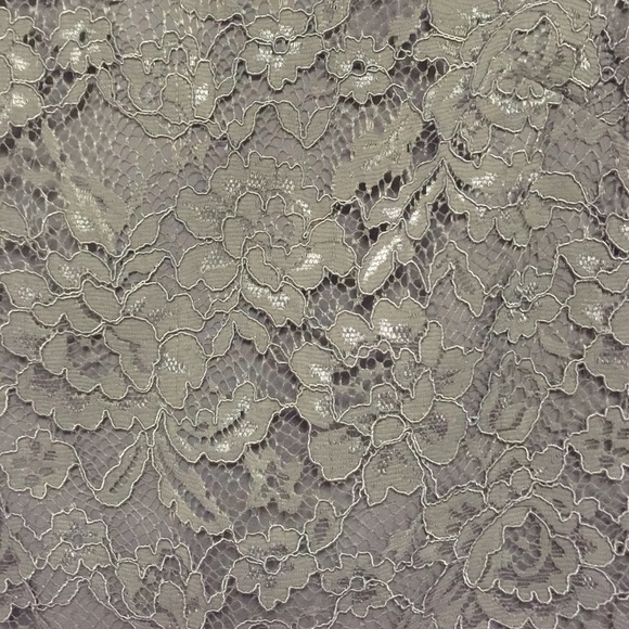 Cynthia Steffe lace dress - Picture 2 of 4