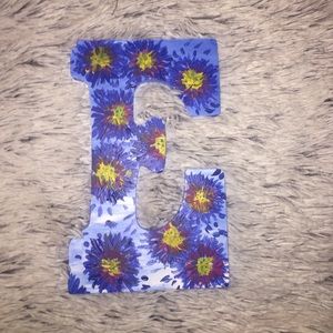 Cute hand painted E!