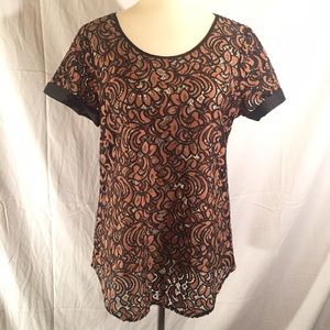 🚫🚫SOLD!!! Express $49.99 Sheer Lacey Top