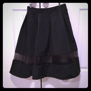 Express Skirt
