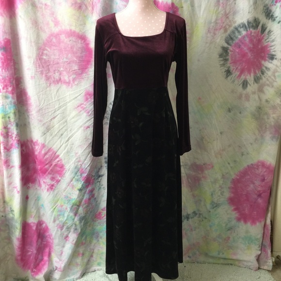 Velvetish long dress