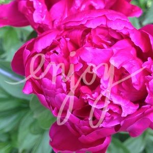 ❤️top for nickelgirl