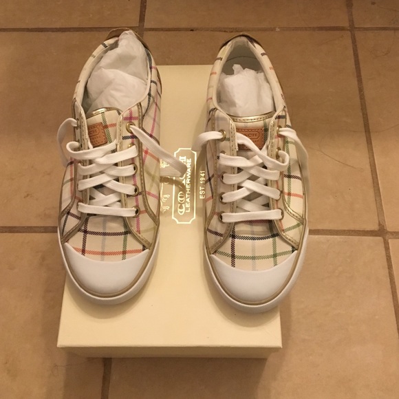 Shoe