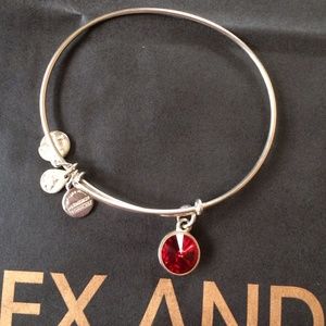 Alex and Ani Garnet Charm Bangle