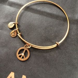 Alex and Ani Gold World Peace Charm Bangle
