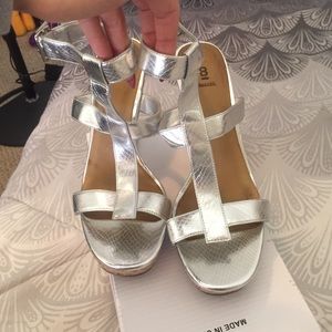 Silver Wedges