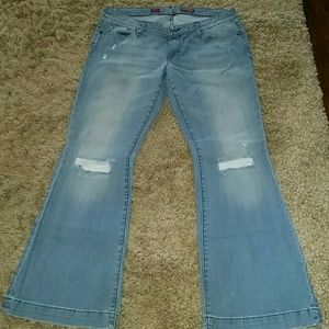 Express Fit & Flare Jean