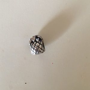 Authentic Pandora charm