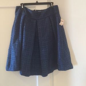 Brand new sparkly pleated skirt