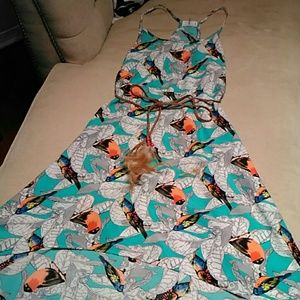 Love Tree Hi Low Dress