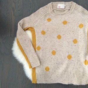 Polka Dot Sweater