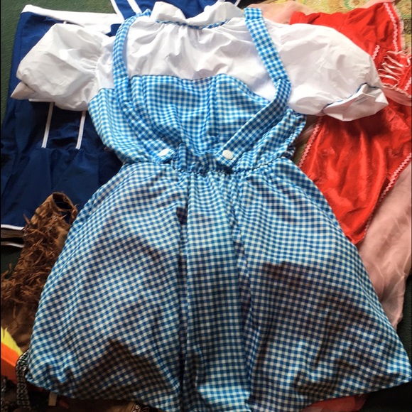 Dorothy Costume