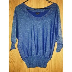 Express blue sparkly sweater.