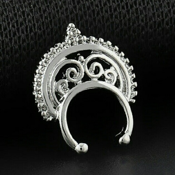 Bundle 2/$15 Cool NEW fake septum ring