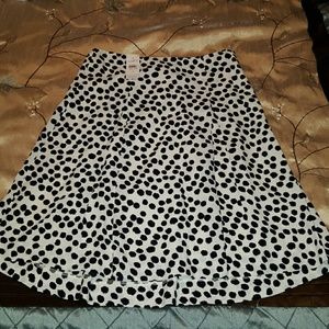 Ann Taylor Loft skirt