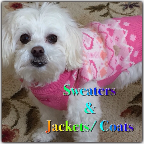 💜💚SWEATERS COATS/JACKETS💙💛 - Picture 1 of 1