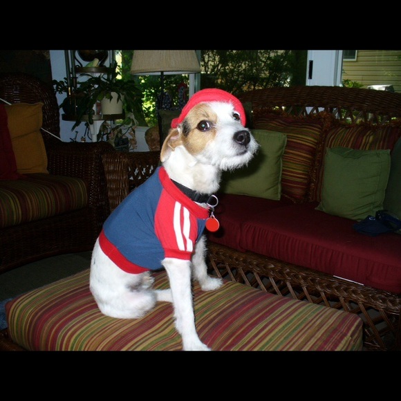 Meet your Posh Ambassador, Sara Jane Blazo 😘😍 - Picture 4 of 5