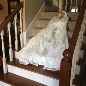 David's Bridal Gown