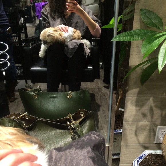 Meet the Posher - Picture 2 of 2