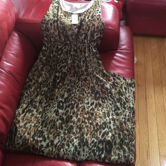 Leopard  Dress - Picture 2 of 6