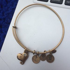 Heart Alex and Ani