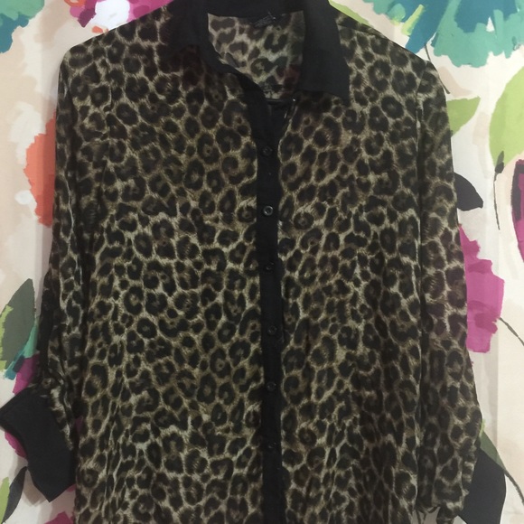 Leopard collard button down blouse - Picture 1 of 4
