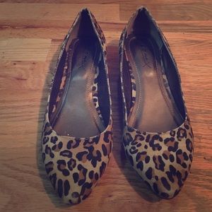 Pointy Leopard Print Kitten Heels