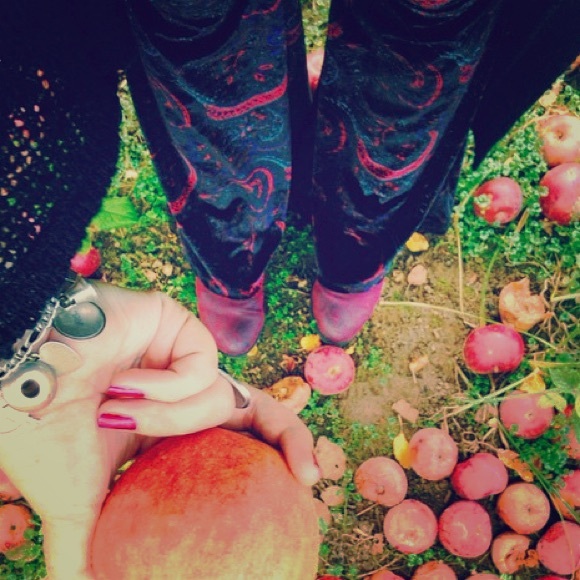 Velvet Free People Bell Bottoms