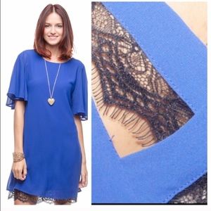 Royal Blue Shift Dress with Eye lash lace details