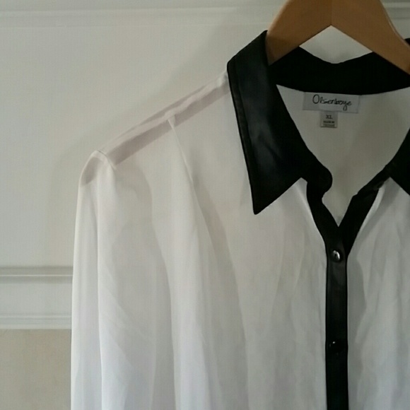 Sheer Button Down Blouse